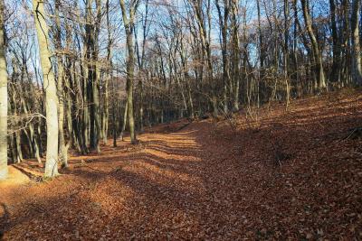 Прикрепленное изображение: IMG_1367++.jpg